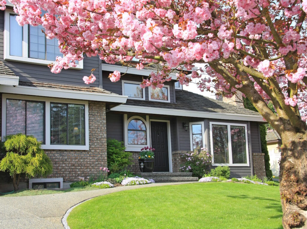 exterior of house with a cherry tree in blossom