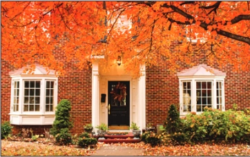 Beautiful detached house with a tree outside and falling autumnal leaves